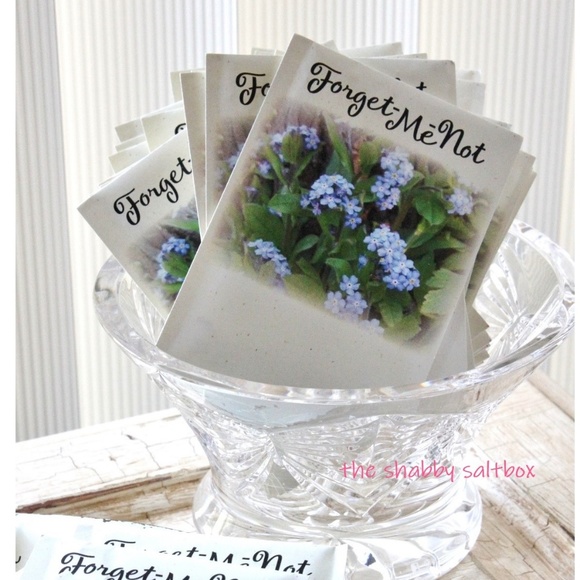 Meet your Posher, Teri @ The Shabby Saltbox - Picture 4 of 9